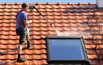 roof cleaning Dodbrooke, Devon