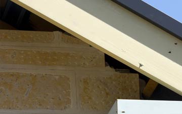 soffit repair Dodbrooke