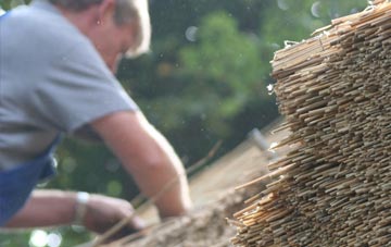 professional Dodbrooke thatchers